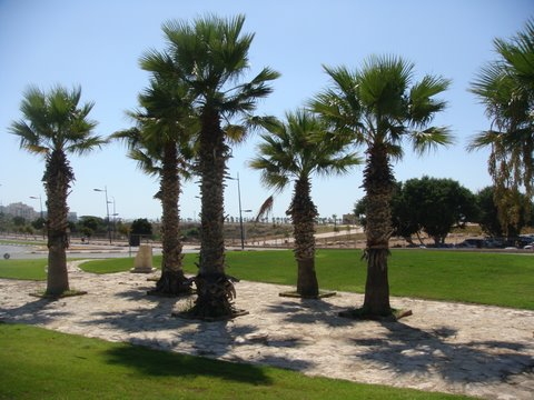ashkelon